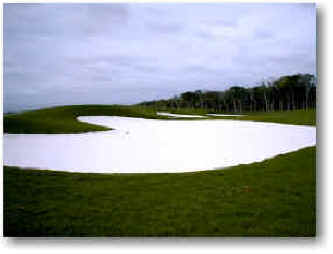 Moon Palace golf course photos