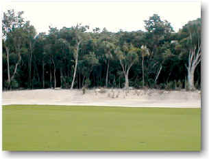 Moon Palace golf course photos